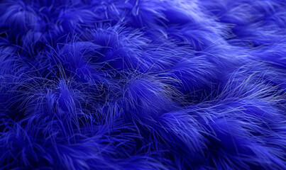 Obraz premium Elegant fuzzy Indigo color background.