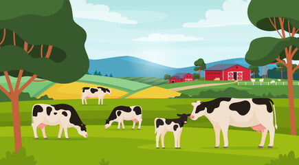 Cows graze in the field. Village pets. Milk production farm. Vector illustration