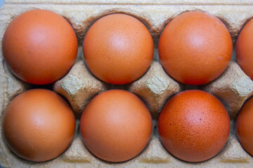 Chicken eggs in a paper box