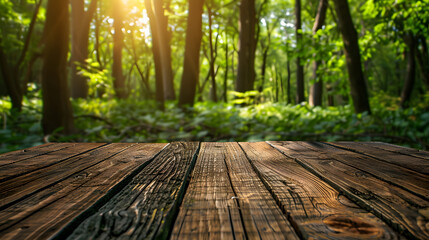 wood textured backgrounds in a room interior on the forest backgrounds