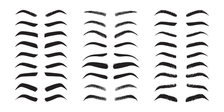 Isolated Eyebrows set Cartoon. Eyebrow makeup template. Classic brow makeup shaping vector set. Various eyebrows types. shapes, thin, thick, curved eyebrows set. 
