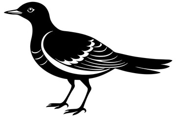 migratory bird silhouette vector illustration