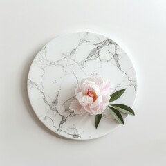 A delicate pink peony rests on a round marble platter against a white backdrop