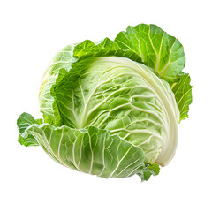 Obraz premium [Transparent Background PNG]Fresh green cabbage isolated on white background