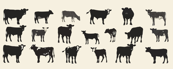 Obraz premium A row of cows in various sizes and positions