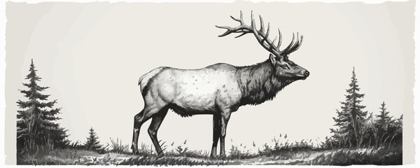 elk Engraving style. Simple pencil drawing vector