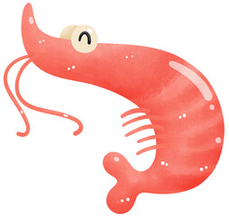Shrimp cute animal