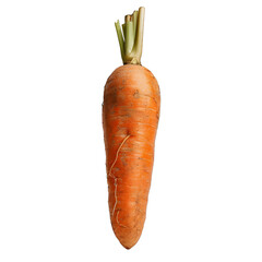 [Transparent Background PNG]Single carrot on white background