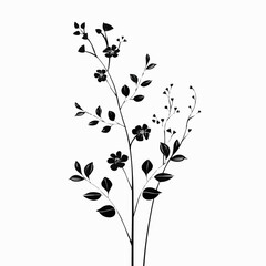 Minimal feminine botanical floral branch in silhouette style. Hand drawn wedding herb, minimalistic flowers with elegant leaves. vector isolated white background