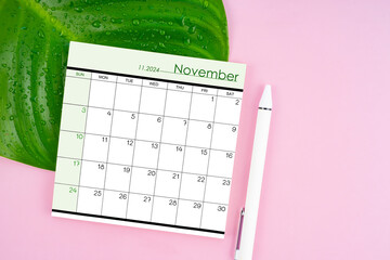 November 2024 calendar page and fresh green leaf with water drops on pink background.