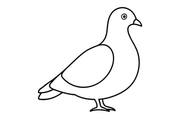 line art of a pigeon