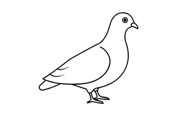 line art of a pigeon