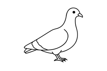 line art of a pigeon