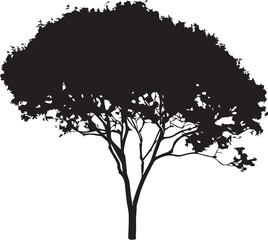 Obraz premium silhouette of tree