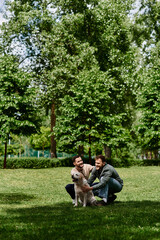 Two bearded gay men in casual clothing enjoy a sunny day in a green park with their labrador retriever.