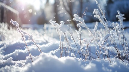 Obraz premium A small amount of snow