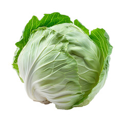 Fototapeta premium [Transparent Background PNG]Fresh Green Cabbage Isolated on White