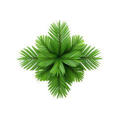 A symmetrical top view of a vibrant green palm leaf arrangement, perfect for nature-themed designs and tropical inspirations.