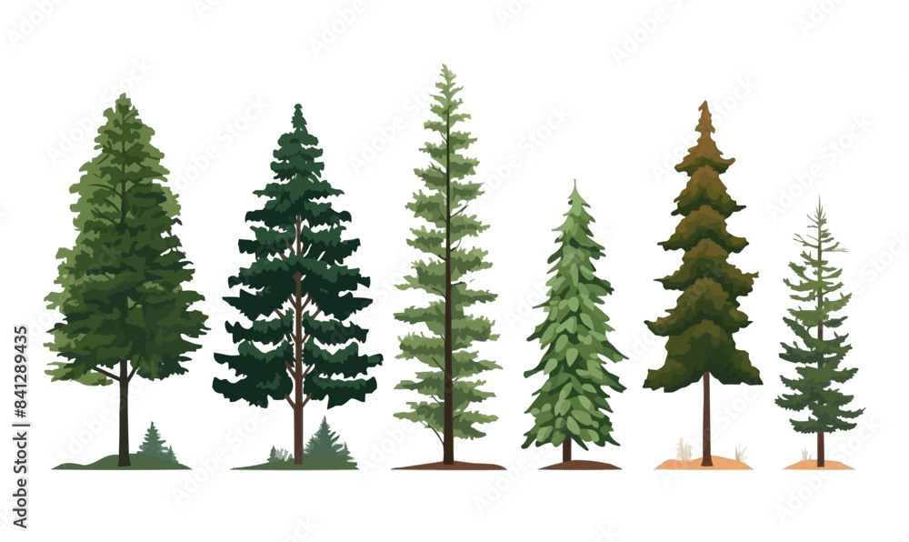 Poster pine trees set vector flat minimalistic isolated illustration