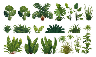 Rainforest vegetation set vector flat isolated vector style illustration