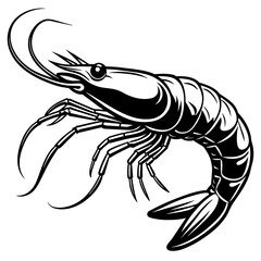 shrimp vector art white background 