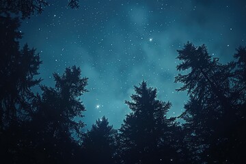 Naklejka premium shining stars in the sky professional photography