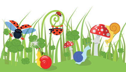 Vector illustration of a beautiful summer field. Cartoon scene of tall green field grass, clover with insects, molluscs: ladybug flying, snails crawling, fly agaric isolated on white background. © MVshop