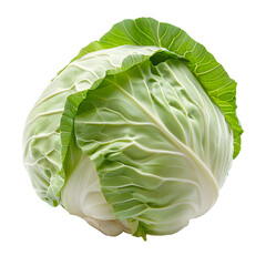 Obraz premium [Transparent Background PNG]Fresh green cabbage on a white background