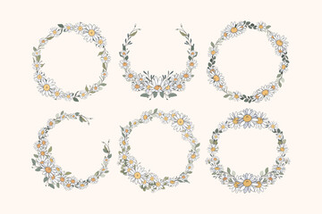 Hand Drawn Daisy Wreath Leaf and Flowers