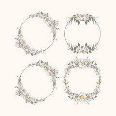 Hand Drawn Daisy Wreath Leaf and Flowers