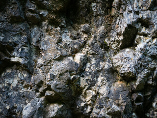 Textures and background. Mountain wall in the forest.