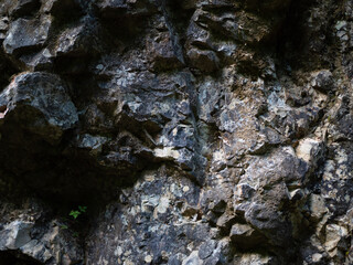 Textures and background. Mountain wall in the forest.