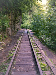 Fototapeta premium Old railway in the forest.