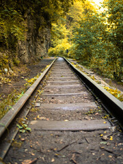 Old railway in the forest.