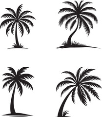Coconut palm tree silhouette