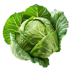 Fototapeta premium [Transparent Background PNG]Fresh Green Cabbage on White Background