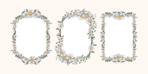 Hand Drawn Daisy Leaf and Flowers Frame Background