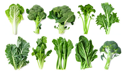 Chinese broccoli isolated. Chinese broccoli on the white background.