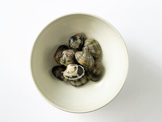 ボウルに入った新鮮なあさりの貝