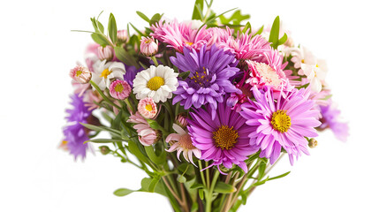 Luxurious bouquet of bright asters. Perfect floral arrangement for significant moments.