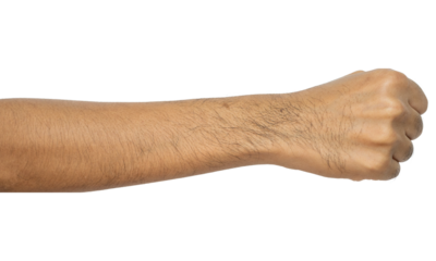 Cropped shot view of men's right hand.