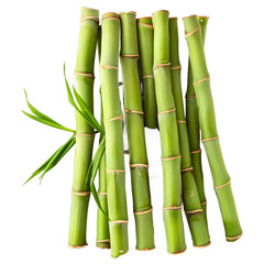 [Transparent Background PNG]Green Bamboo Stalks