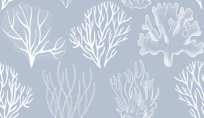seamless pattern with coral reef, marine theme monochrome white