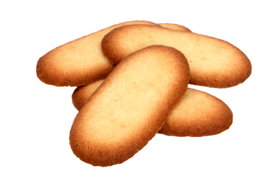 Langues de chat / fond transparent