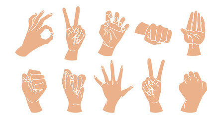 Set of drawn human hands. A set of hands in a collection of various gestures. illustration, vector
