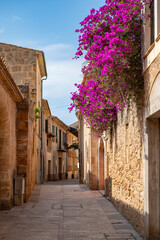 Alcudia, Majorca old town with beautiful flowers hanging down a building, vertical shot during...
