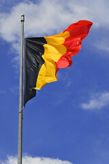 The national flag of Belgium. Mobile vertical view.