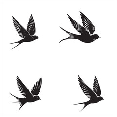 silhouette of a swift flying the bird isolated on white background 
