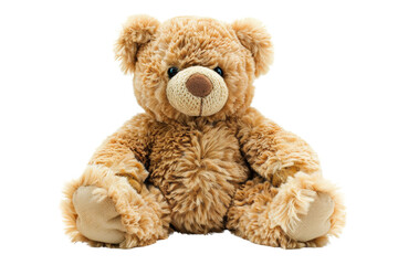 Obraz premium Cute Teddy Bear Sitting Isolated on White Background