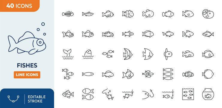 Fishes icons set. Contain icons related to various kinds of fish, Freshwater fish, and more. Editable stroke. Vector illustration	